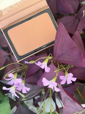 VISEART Professional Makeup Bronze Noix Powder Bronzer